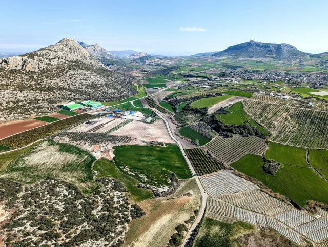 Edremit'te Kaz Dağları Manzaralı Zeytinlik