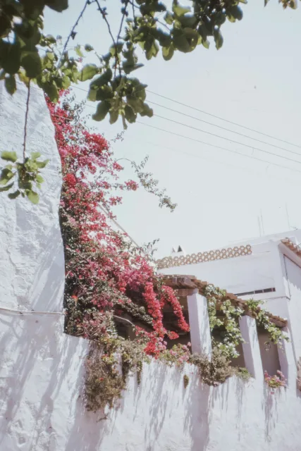 Bodrum Turgutreis'te Havuzlu Kiralık Yazlık - 2